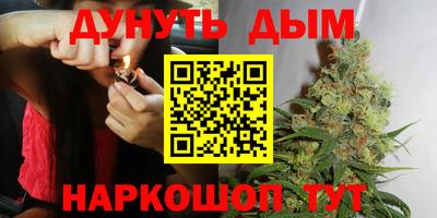 сатива Когалым