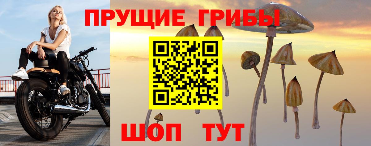 Галлюциногенные грибы ЛСД  Вход с VPN  Ногинск 